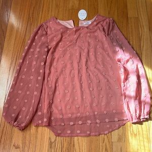 Women’s pink dressy top with sheer sleeves.  NWT size small.